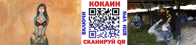 КОКАИН Боливия  Малгобек 