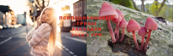 тгк Аркадак