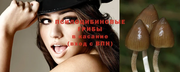 mix Армянск