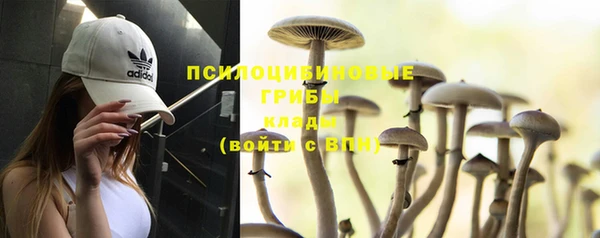 тгк Аркадак