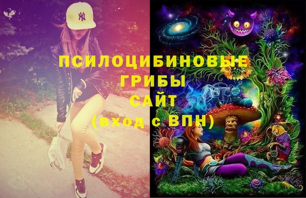 тгк Аркадак