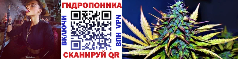 Бошки марихуана Ganja  магазин продажи наркотиков  mega зеркало  Малгобек 